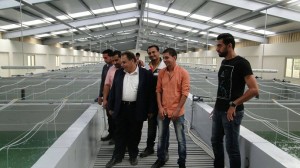 كفر الشيخ مزرعة